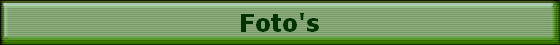 Foto's